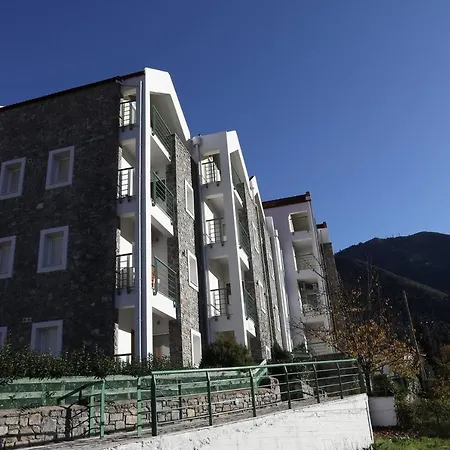 Dream Mountain House Apartment