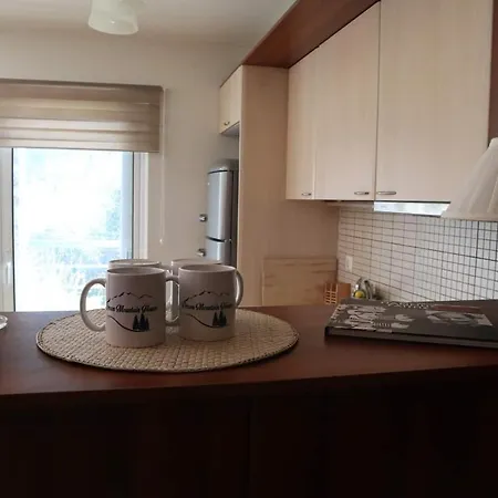 Διαμέρισμα Dream Mountain House